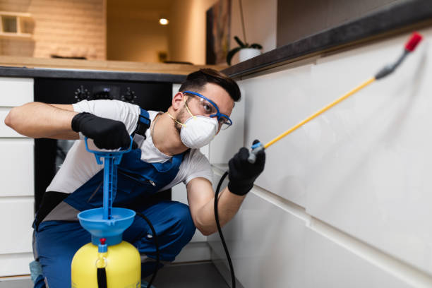 Best Local Pest Control Services  in Neillsville, WI