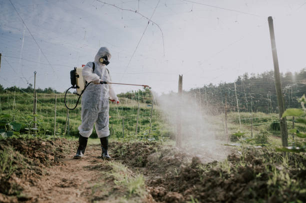 Best Pest Removal Services  in Neillsville, WI