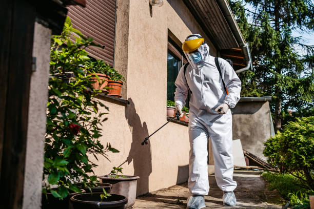 Best Best Pest Control Companies  in Neillsville, WI