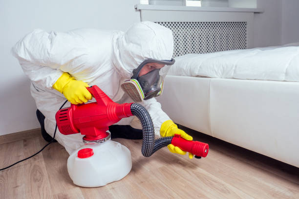 Best Mosquito Control Services  in Neillsville, WI