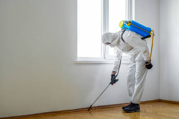Best Cockroach Control Services  in Neillsville, WI