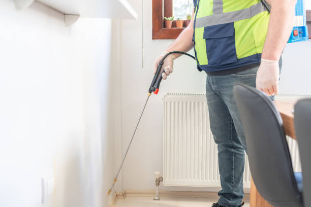 Best Termite Control Services  in Neillsville, WI