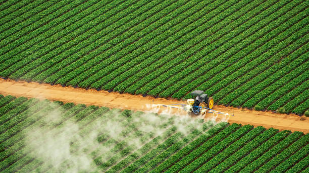 Best Pest Control Treatment  in Neillsville, WI
