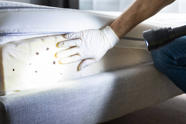 Best Pest Inspection Near Me  in Neillsville, WI