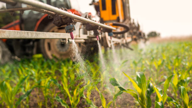 Neillsville, WI Pest Control Company